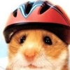 Petz: Hamsterz Superstarz (XSX) game cover art