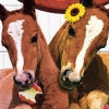 Petz: Horsez Family (XSX) game cover art