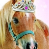 Petz: Pony Beauty Pageant (XSX) game cover art