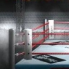 Pro Wrestling Kentei DS (XSX) game cover art