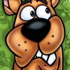Scooby-Doo! Who's Watching Who? (XSX) game cover art
