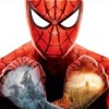 Spider-Man: Web of Shadows (XSX) game cover art
