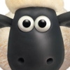 Shaun the Sheep (XSX) game cover art