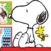 Snoopy no Aiken DS: Chitte Okitai Inu no Koto - Inu no Nouryoku - Anata no Shitsuke (XSX) game cover art