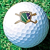 True Swing Golf artwork