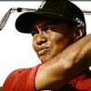 Tiger Woods PGA Tour 08 artwork