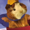 Wonder Pets!: Save the Animals! artwork