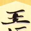 Wi-Fi Taiou Morita Shogi DS (XSX) game cover art