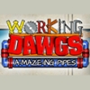 Working Dawgs: A-Maze-ing Pipes (XSX) game cover art
