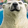 Zoo Tycoon DS (XSX) game cover art