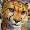 Zoo Tycoon 2 DS art