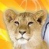 Zoo Vet: Endangered Animals artwork