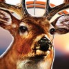 Cabela's Legendary Adventures (XSX) game cover art