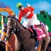 Derby Stallion P artwork