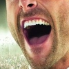 Football Manager Handheld 2013 artwork