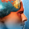 Hot Brain artwork