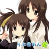 Love@Wan-Jong (XSX) game cover art
