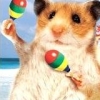 Petz: Hamsterz Bunch artwork