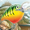 Rapala Trophies artwork