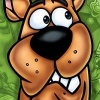 Scooby-Doo!: Who's Watching Who? artwork
