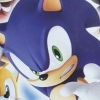 Sonic Rivals 2 artwork