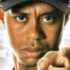 Tiger Woods PGA Tour artwork
