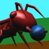 Ant Mission (XSX) game cover art