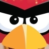 Angry Birds Trilogy (XSX) game cover art