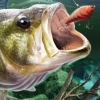 Bass Pro Shops: The Strike (XSX) game cover art