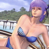 Dead or Alive Xtreme 2 artwork