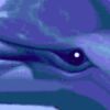 Ecco the Dolphin (Xbox 360) artwork