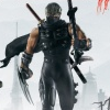 Ninja Gaiden II (Xbox 360) artwork