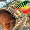 Rapala Fishing Frenzy 2009 artwork