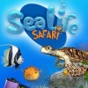 Sea Life Safari artwork
