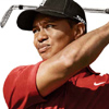 Tiger Woods PGA Tour 08 artwork