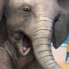 Zoo Tycoon (XSX) game cover art