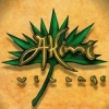 Akimi Village artwork