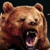 Cabela's Big Game Hunter: Pro Hunts (XSX) game cover art