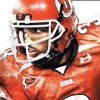 NCAA Football 10 artwork