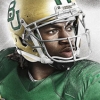 NCAA Football 13 artwork