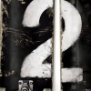 Skate 2 artwork