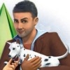The Sims 3: Pets artwork