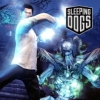 Sleeping Dogs: Nightmare in North Point (XSX) game cover art