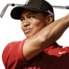 Tiger Woods PGA Tour 08 artwork