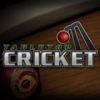 TableTop Cricket artwork