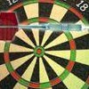 Pro Darts artwork