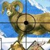 Rocky Mountain Trophy Hunter (XSX) game cover art