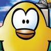 Toki Tori (XSX) game cover art