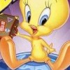 Tweety's High-Flying Adventure (XSX) game cover art