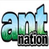 Ant Nation (XSX) game cover art